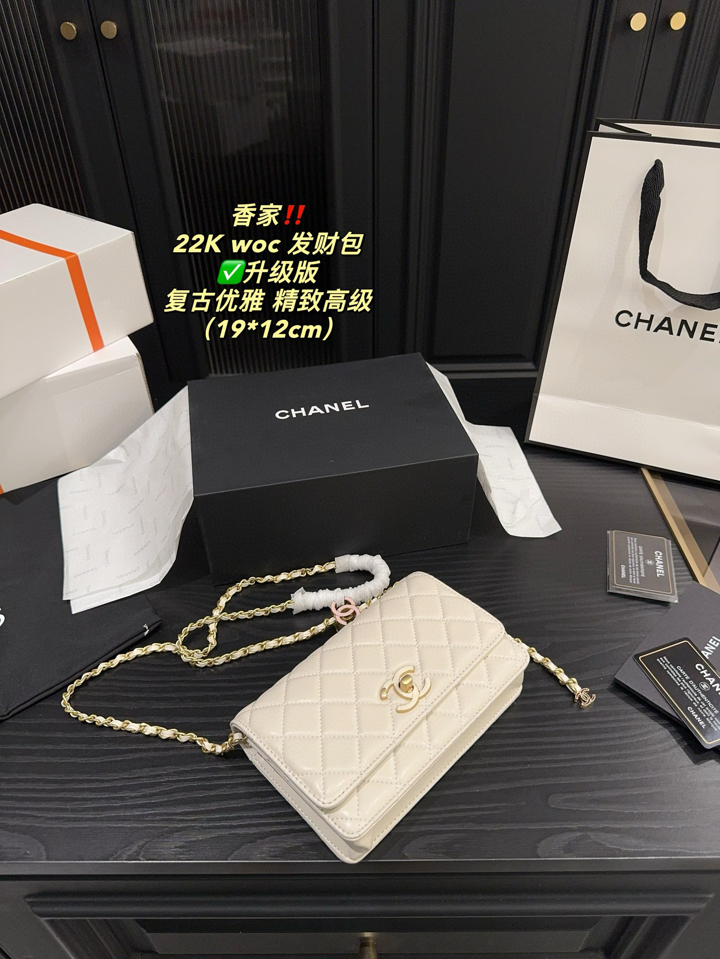 Chanel 22k Woc Wealth Bag