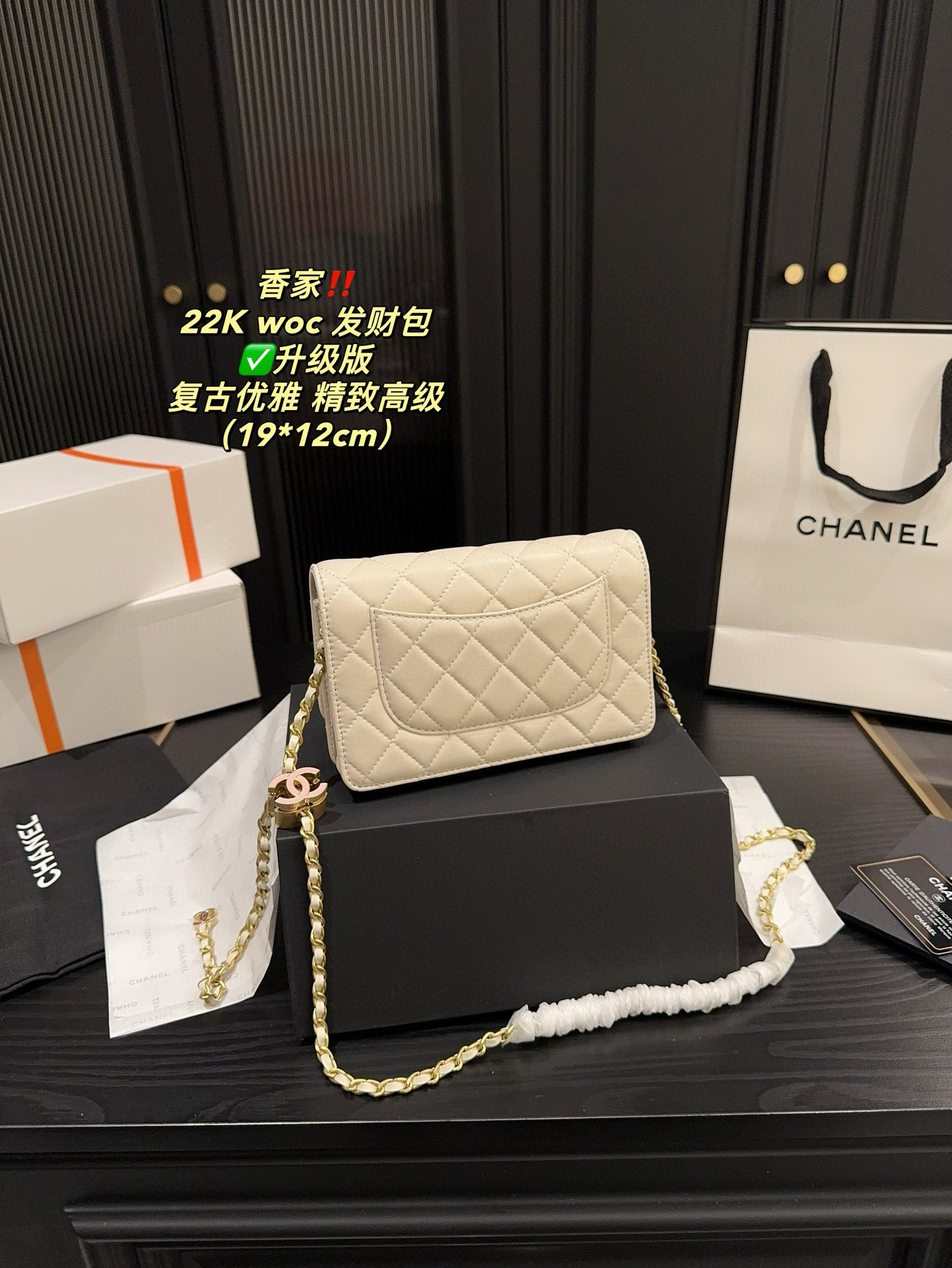 CHANEL 22k woc Fortune Bag